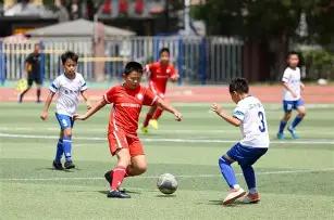 华晨宇张碧,晨非婚生育,引争议,爱游戏平台,爱游戏官方网站,爱游戏登录入口,爱游戏app下载