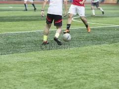 爱游戏,资讯,爱游戏平台,爱游戏平台,爱游戏官方网站,爱游戏登录入口,爱游戏app下载