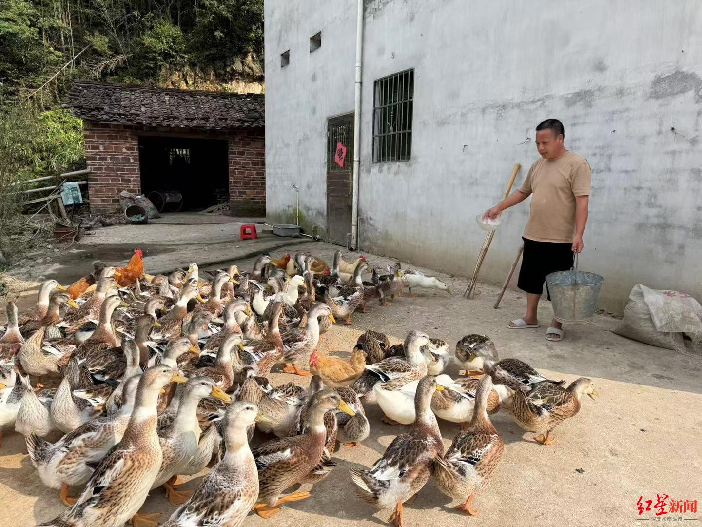 门迪告别国家队生涯：获赛季最佳提名，荣耀时刻引自豪
